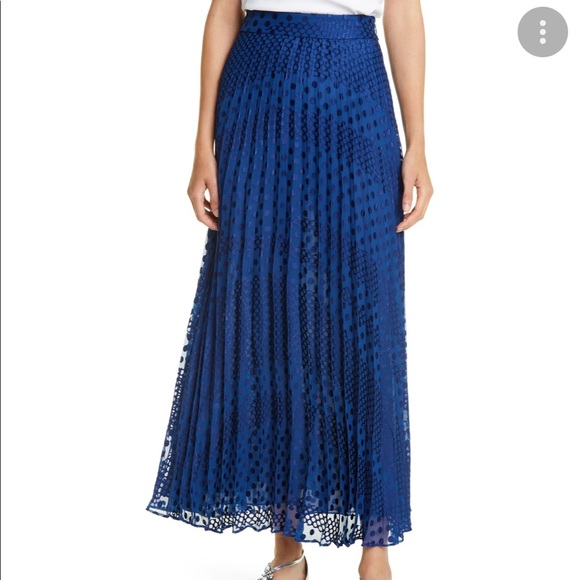 Pleated Devoré Skirt from Emorio Armani - Picture 3 of 5